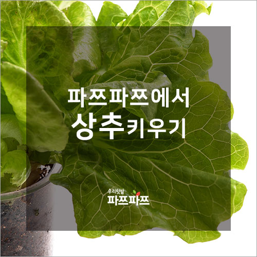 f24d3a5bea7d3f04e224657db53a3371_1548920893_5288.png f24d3a5bea7d3f04e224657db53a3371_1548920893_5288.png
