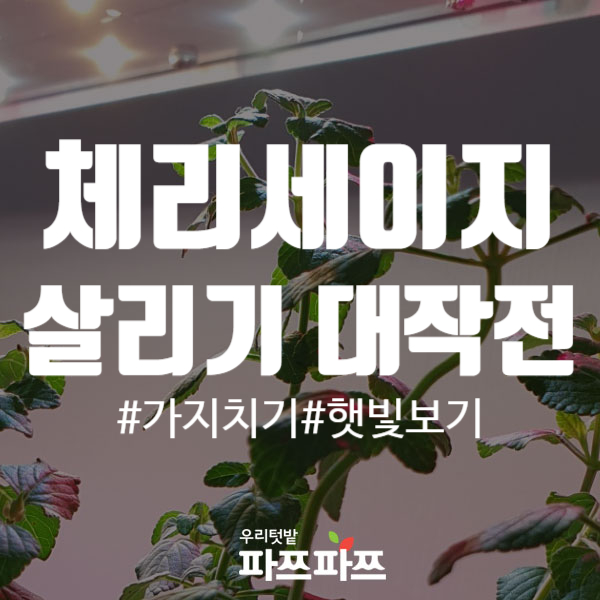 95c8c4c8edbf1b4cf99299c39d49eddc_1561350876_9394.png 95c8c4c8edbf1b4cf99299c39d49eddc_1561350876_9394.png