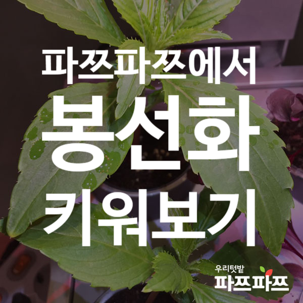 0e1418304443e90bc1b6cdf756c9ea43_1566976122_4951.png 0e1418304443e90bc1b6cdf756c9ea43_1566976122_4951.png