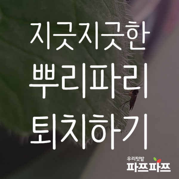 f19419f548784fb78acb33052c89c864_1566523711_0499.png f19419f548784fb78acb33052c89c864_1566523711_0499.png
