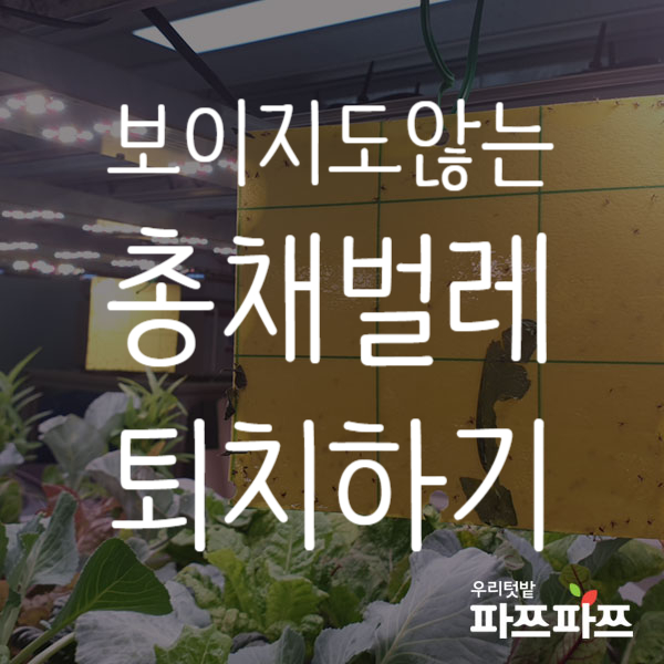 9641ac96a1a3b9d3ee7d5cabc9a4615a_1568698722_1902.png 9641ac96a1a3b9d3ee7d5cabc9a4615a_1568698722_1902.png