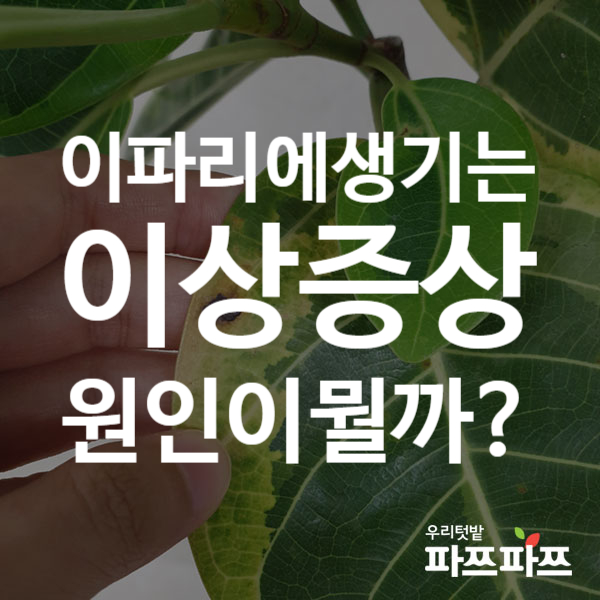 b60ec0ab0efd70ab555833a531a97510_1567493486_0302.png b60ec0ab0efd70ab555833a531a97510_1567493486_0302.png