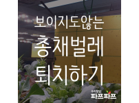 해충과의 전쟁(3) : 총채벌레 / 우리텃밭 파쯔파쯔 / 가정용 식물재배기