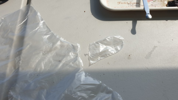 사무실에서 봉선화 물들이기 해봤어요! / 우리텃밭 파쯔파쯔 / 가정용 식물재배기