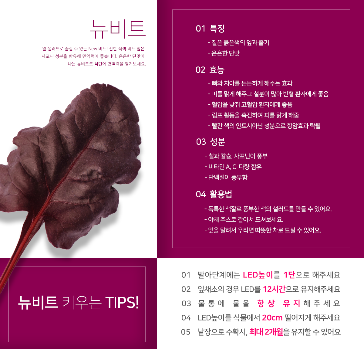 집에서 베란다텃밭이나 실내텃밭을 가꿔 채소키우기 쉬운 가정용 식물재배기 우리텃밭 파쯔파쯔입니다 일부 수경재배 제품과는 다르게 유기농 흙을 사용한 토경재배로 식물 키우기가 아주 수월합니다 홈가드닝 가드닝 플랜테리어 인테리어화분 등 식물인테리어에 관심이 많으신 분들은 씨더스가 만든 식물LED를 주목해주세요 연말선물 부모님선물로도 좋습니다 공기정화식물 다육식물 다육이를 심어보세요 텃밭가꾸기 좋아하시는 분들 주말농장 가실 필요 없어요 베란다정원 실내정원 가정용 채소재배기 우리텃밭 파쯔파쯔로 가정에서 인테리어화분 겸 오가닉 베란다텃밭 아주 좋습니다