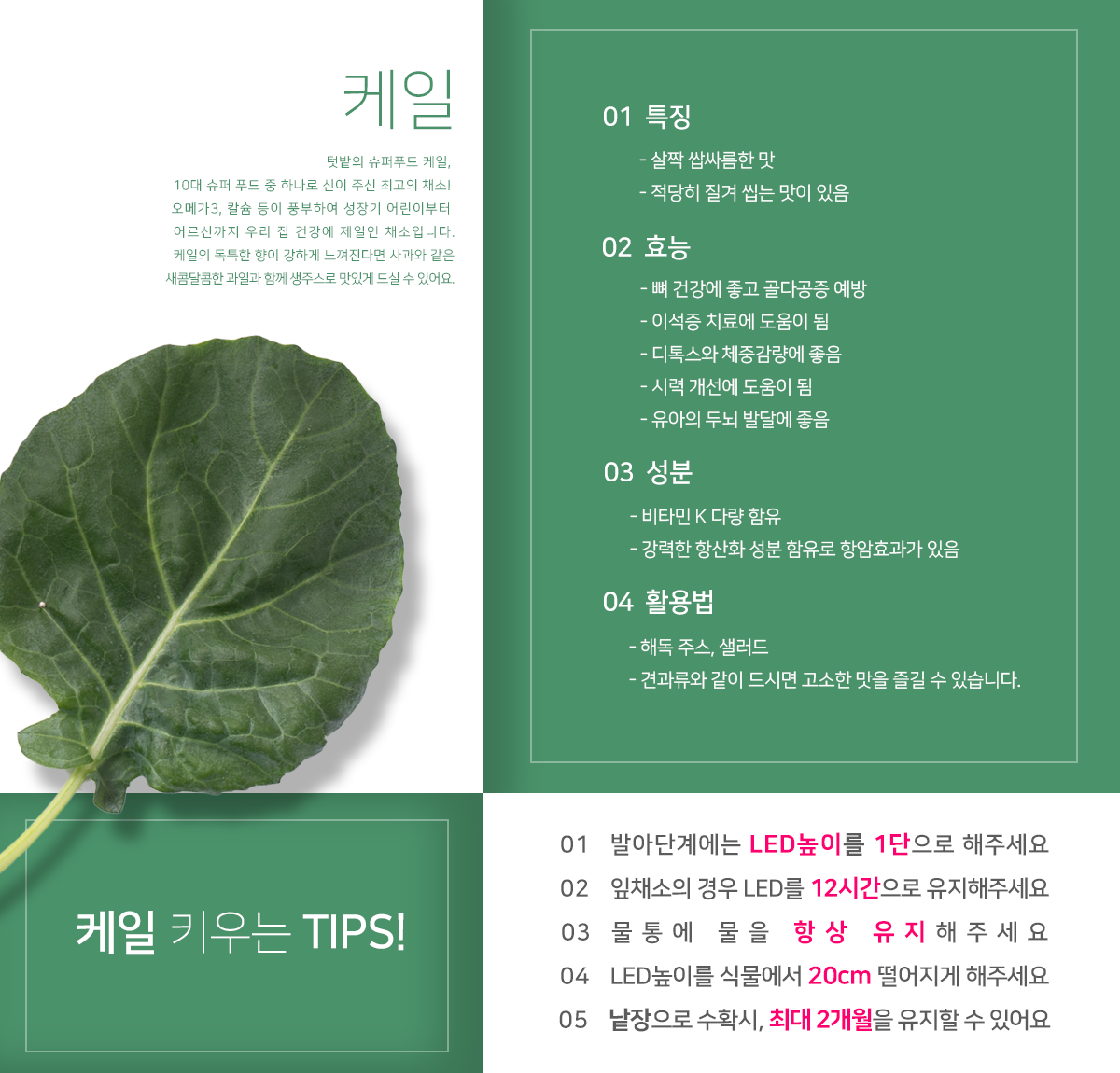 집에서 베란다텃밭이나 실내텃밭을 가꿔 채소키우기 쉬운 가정용 식물재배기 우리텃밭 파쯔파쯔입니다 일부 수경재배 제품과는 다르게 유기농 흙을 사용한 토경재배로 식물 키우기가 아주 수월합니다 홈가드닝 가드닝 플랜테리어 인테리어화분 등 식물인테리어에 관심이 많으신 분들은 씨더스가 만든 식물LED를 주목해주세요 연말선물 부모님선물로도 좋습니다 공기정화식물 다육식물 다육이를 심어보세요 텃밭가꾸기 좋아하시는 분들 주말농장 가실 필요 없어요 베란다정원 실내정원 가정용 채소재배기 우리텃밭 파쯔파쯔로 가정에서 인테리어화분 겸 오가닉 베란다텃밭 아주 좋습니다